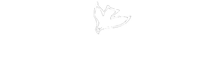 Lake Shore Baptist Church | A welcoming and affirming community of ...